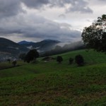 kremersberg-morgennebel-12ba