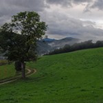 kremersberg-morgennebel-13ba